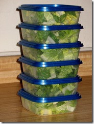 6 Salads in Containters